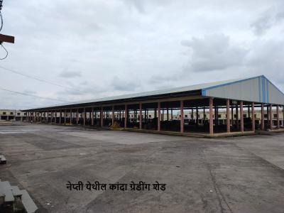 Whatsapp Image 2025 11 18 At 12.03.23 1