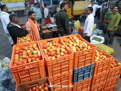 Whatsapp Image 2025 11 20 At 12.02.19