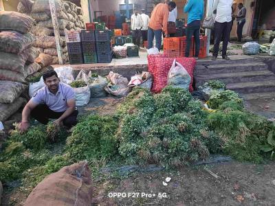 Whatsapp Image 2025 11 20 At 12.02.34