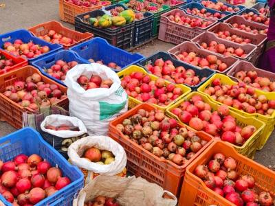 Whatsapp Image 2025 11 20 At 12.02.37